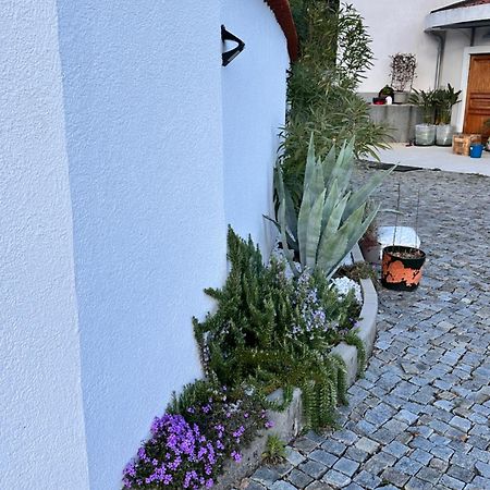 Ferienwohnung Dreamtime Veprinac Exterior foto